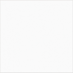 太空白 300x300