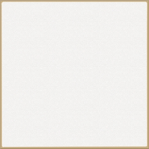 貝麗南院（配板） 300x300